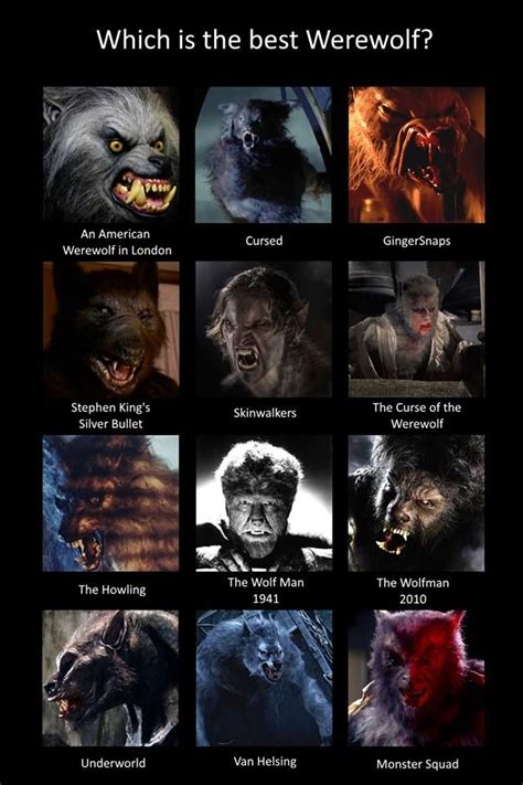 The curae of the werewolf cast